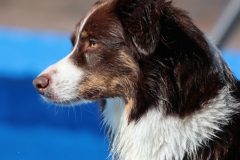 IMG_8784